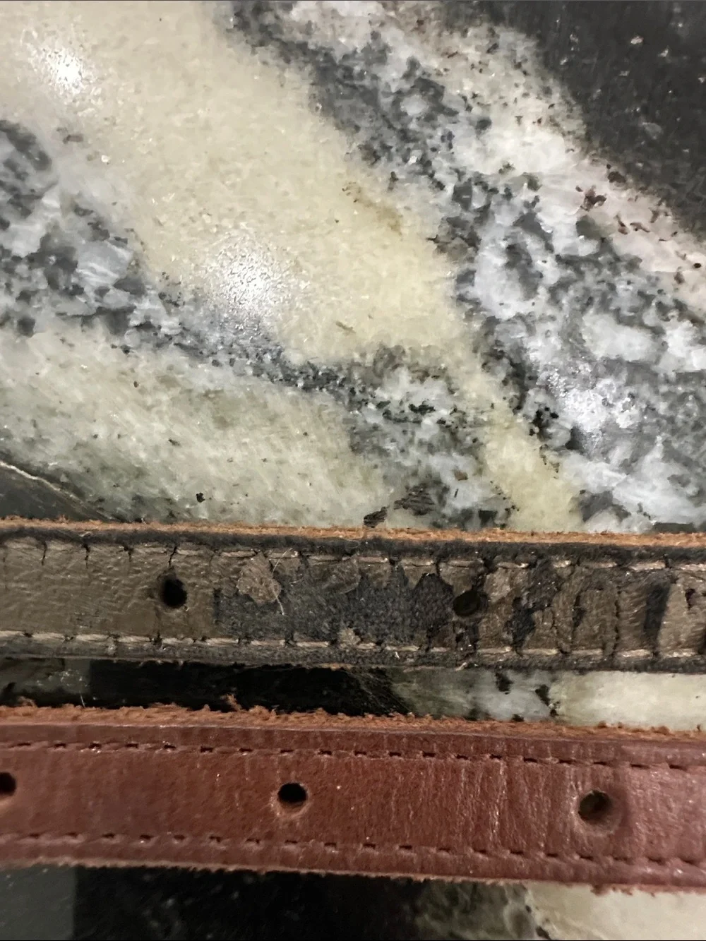 Joe's Jeans Brown Studded Kids Leather Belts (Pair)